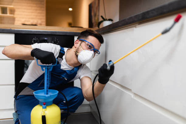Best Bed Bug Extermination  in Mount Rainier, MD