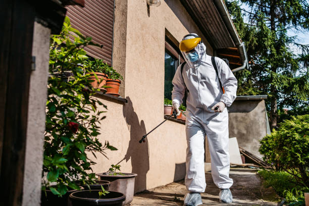 Best Pest Prevention Services  in Mount Rainier, MD