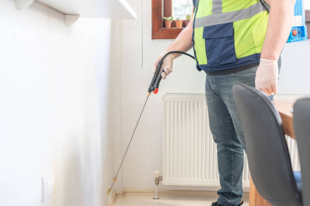 Best Wasp Removal Services  in Mount Rainier, MD