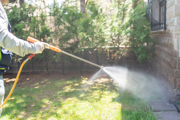 Best Termite Control Services  in Mount Rainier, MD
