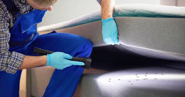 Best Best Pest Control Companies  in Mount Rainier, MD