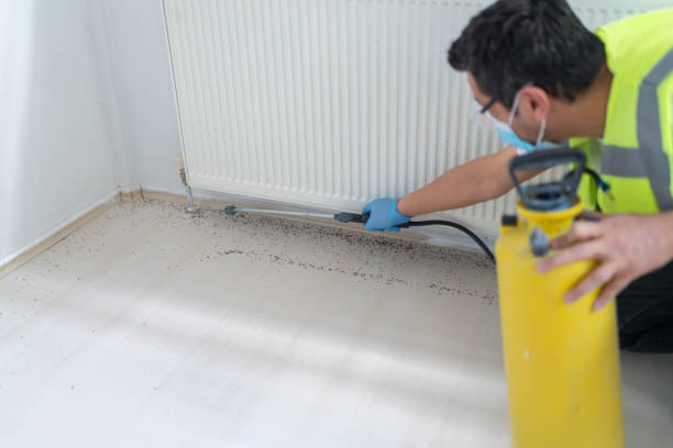 Best Residential Pest Control  in Mount Rainier, MD